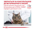 Royal Canin Diabetic дієта для котів при цукровому діабеті - 85 г