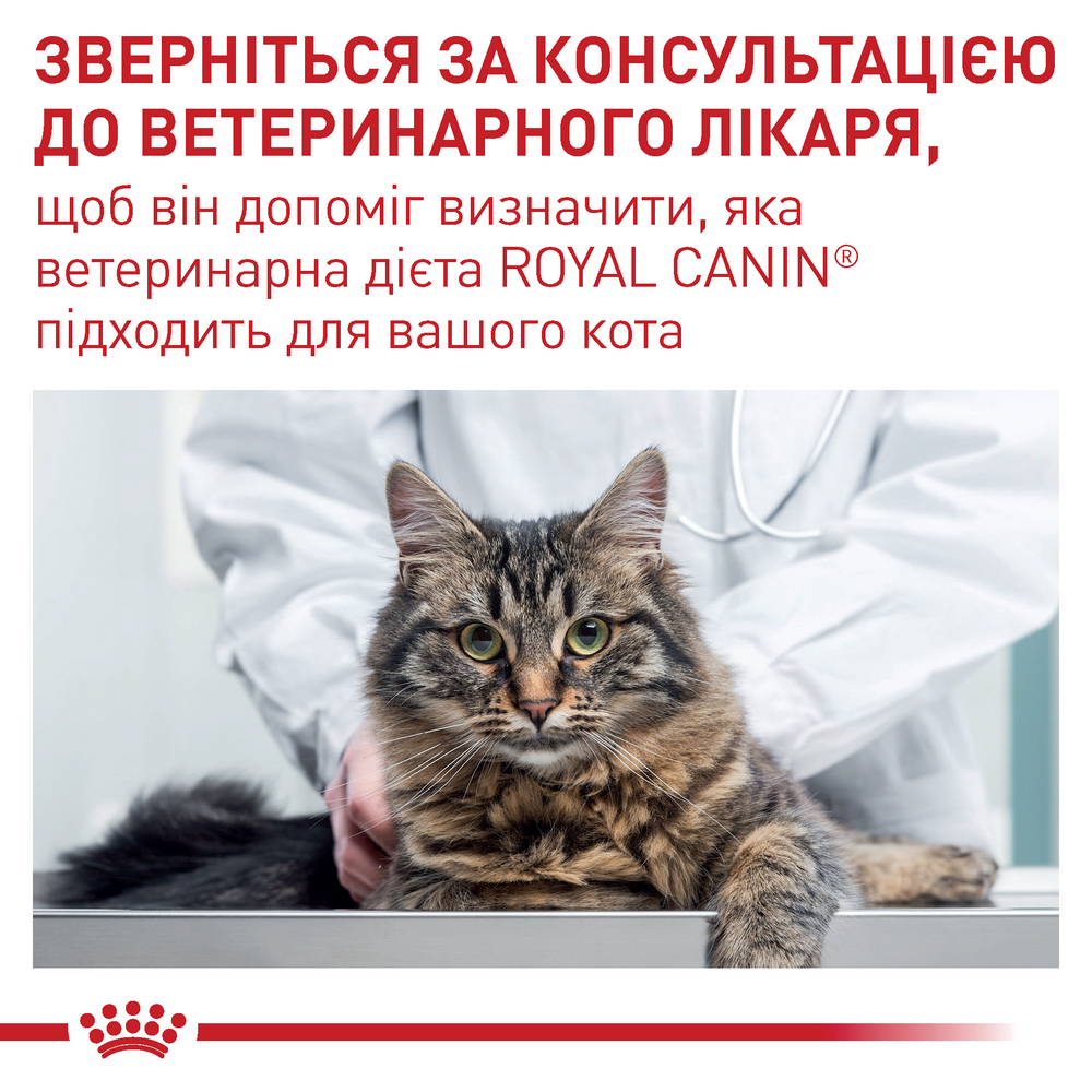 Royal Canin Neutered Balance дієта для для профілактики сечокам'яної хвороби у котів - 85 г
