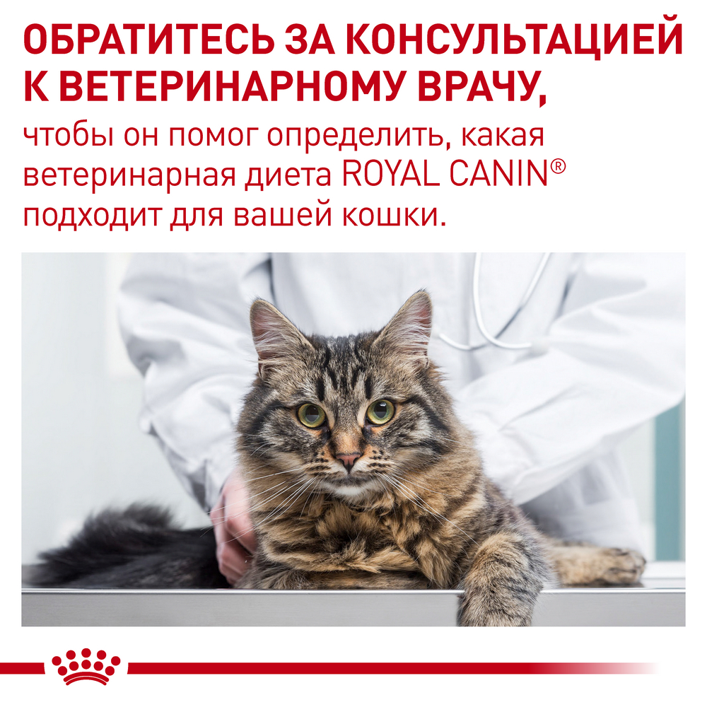 Royal Canin Mature Consult дієта для зниження утворення струвітних каменів у літніх котів - 85 г