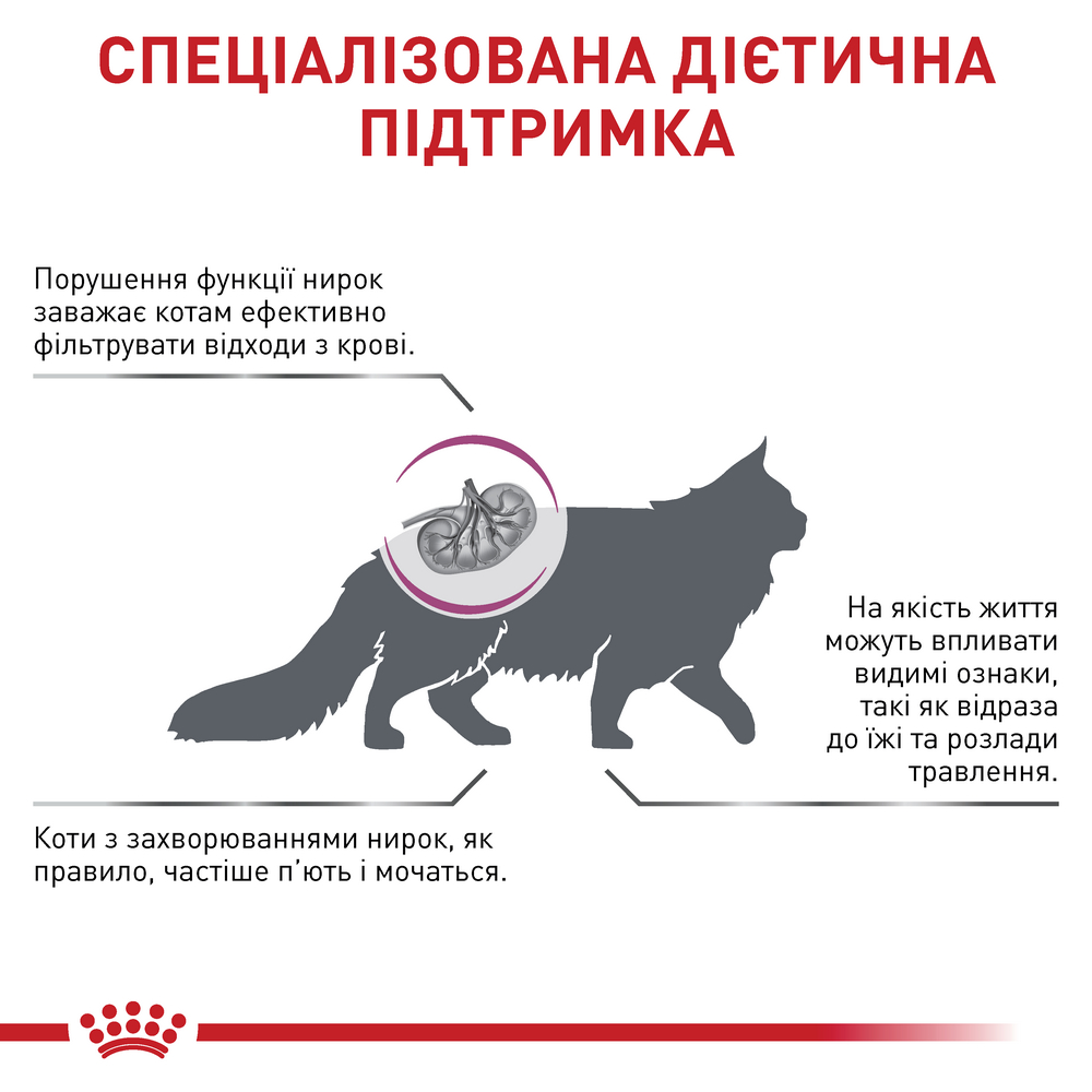Royal Canin Renal Select дієта для котів із захворюваннями нирок - 2 кг
