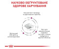 Royal Canin Renal Select дієта для котів із захворюваннями нирок - 2 кг