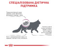 Royal Canin Renal Select дієта для котів із захворюваннями нирок - 4 кг