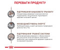 Royal Canin Gastrointestinal Fibre Response дієта для котів при порушеннях травлення - 400 г