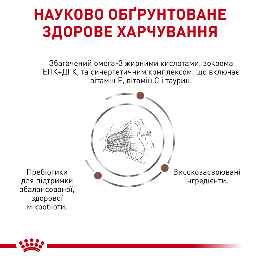 Royal Canin Gastrointestinal Fibre Response дієта для котів при порушеннях травлення - 2 кг