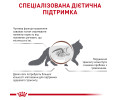 Royal Canin Gastrointestinal Fibre Response дієта для котів при порушеннях травлення - 4 кг