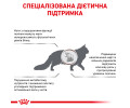 Royal Canin Hepatic дієта для котів при захворюваннях печінки - 2 кг