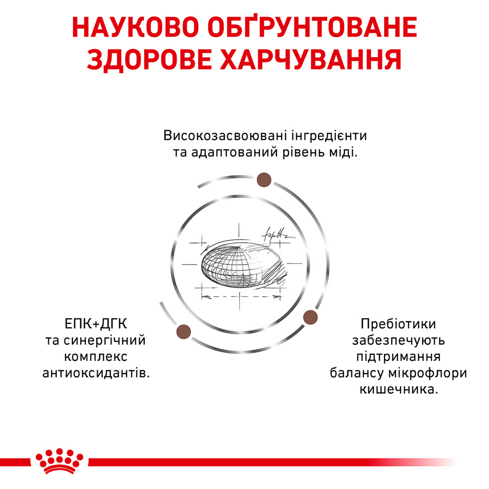 Royal Canin Hepatic дієта для котів при захворюваннях печінки - 4 кг