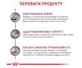 Royal Canin Renal Chicken дієта для котів при захворюваннях нирок, з куркою - 85 г