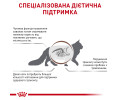 Royal Canin Gastrointestinal Fibre Response дієти для котів при закрепах - 85 г