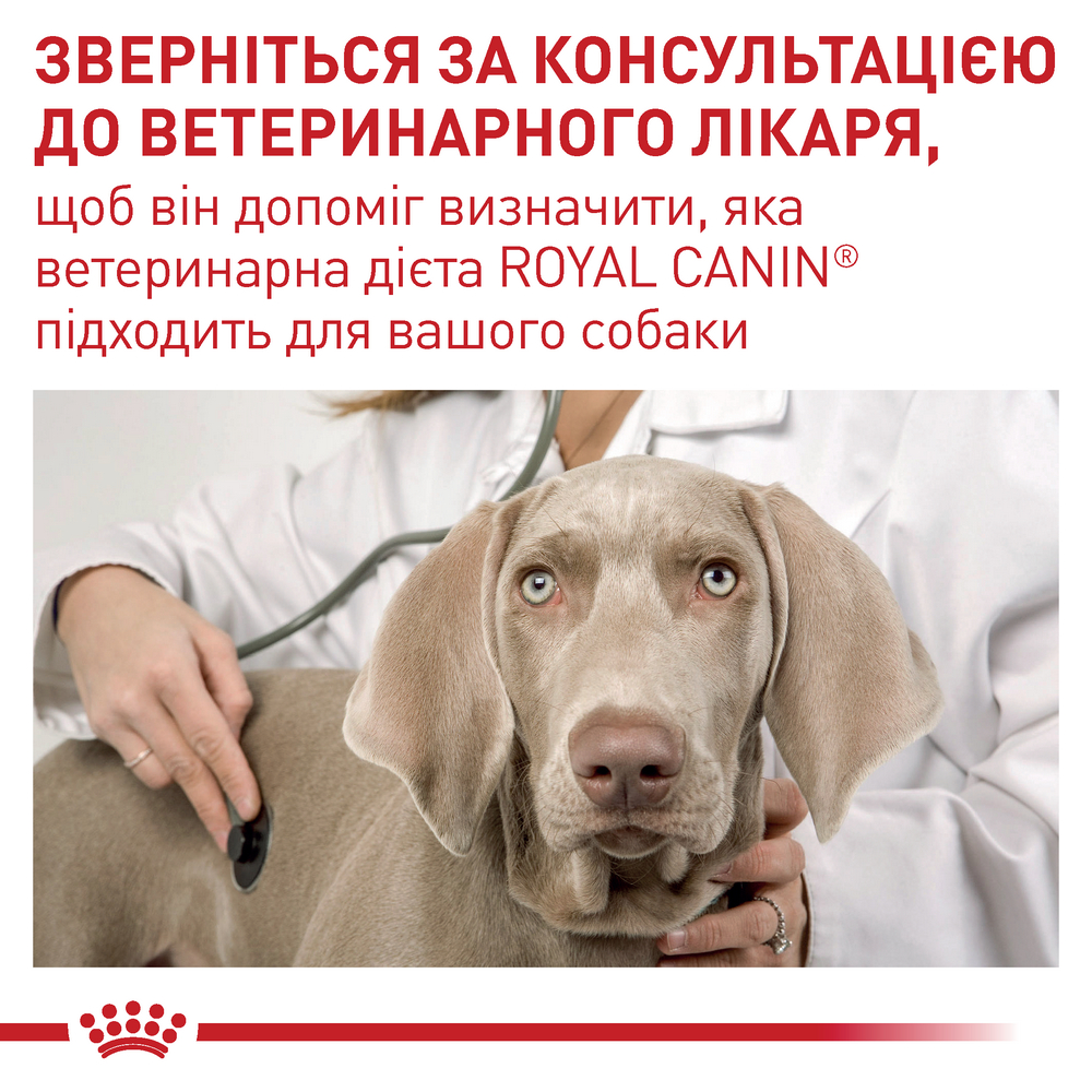 Royal Canin Neutered Adult дієта для дорослих собак з надмірною вагою- 100 г
