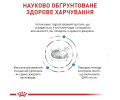 Royal Canin Anallergenic Small Dog дієта для малих собак при харчовій алергії - 3 кг