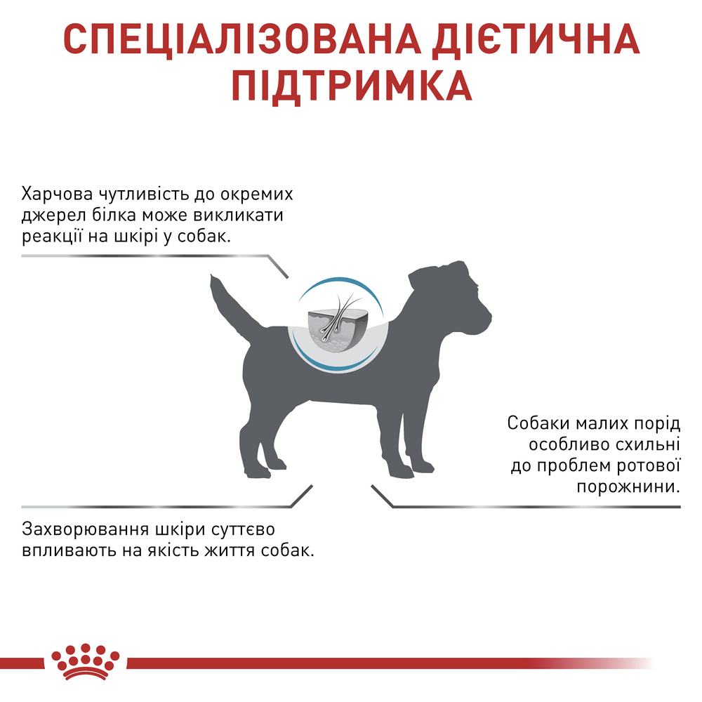 Royal Canin Anallergenic Small Dog дієта для малих собак при харчовій алергії - 3 кг