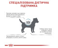 Royal Canin Anallergenic Small Dog дієта для малих собак при харчовій алергії - 3 кг
