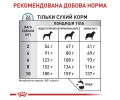 Royal Canin Anallergenic Small Dog дієта для малих собак при харчовій алергії - 3 кг