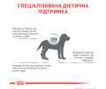 Royal Canin Hypoallergenic Puppy дієта для цуценят при харчовій алергії і непереносимості - 3.5 кг