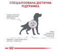 Royal Canin Cardiac дієта для собак із серцевою недостатністю - 2 кг