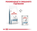 Royal Canin Hypoallergenic Small Dog дієта для малих собак при харчовій алергії - 3.5 кг