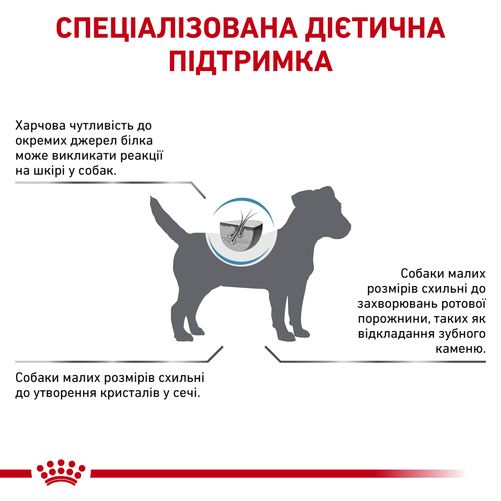 Royal Canin Hypoallergenic Small Dog дієта для малих собак при харчовій алергії - 3.5 кг