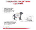 Royal Canin Gastrointestinal Puppy дієта для цуценят з порушеннями травлення - 2.5 кг