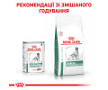 Royal Canin Diabetic дієта для собак при цукровому діабеті - 410 г