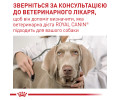 Royal Canin Neutered Adult Medium Dog дієта для собак середніх порід з надмірною вагою - 3.5 кг