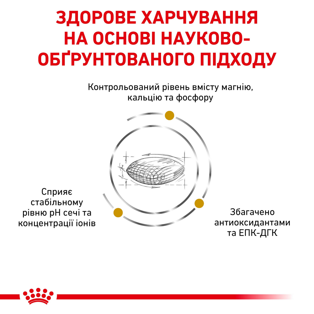 Royal Canin Urinary S/O дієта для лікування сечокам’яної хвороби у собак - 13 кг