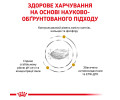 Royal Canin Urinary S/O дієта для лікування сечокам’яної хвороби у собак - 13 кг