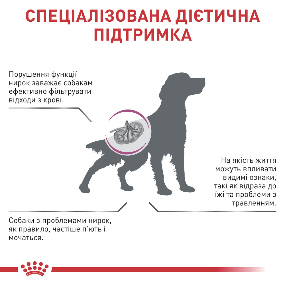 Royal Canin Renal дієта для собак при хронічній нирковій недостатності - 2 кг