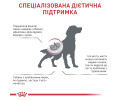 Royal Canin Renal дієта для собак при хронічній нирковій недостатності - 2 кг