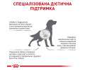 Royal Canin Hepatic дієта для собак із захворюваннями печінки - 1.5 кг