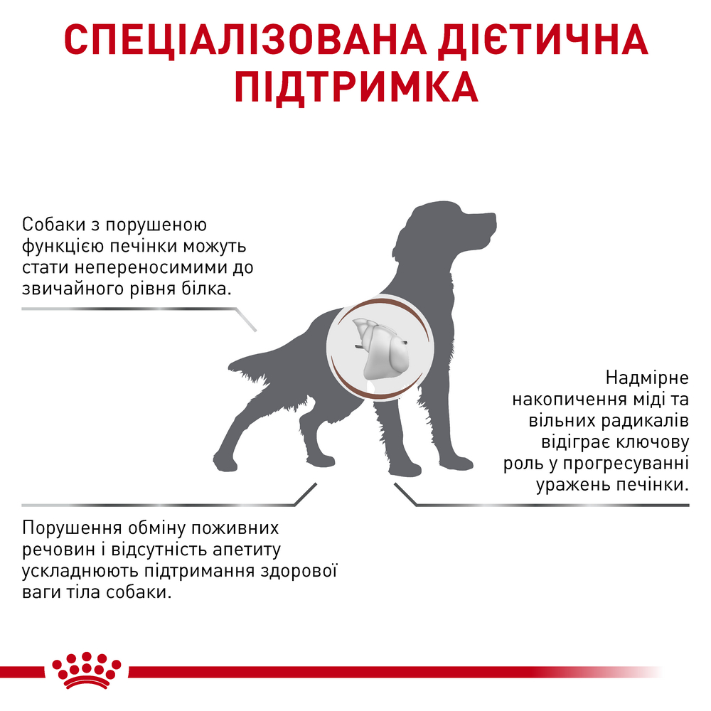 Royal Canin Hepatic дієта для собак із захворюваннями печінки - 12 кг