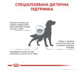 Royal Canin Anallergenic дієта для собак при харчовій алергії і непереносимості - 3 кг