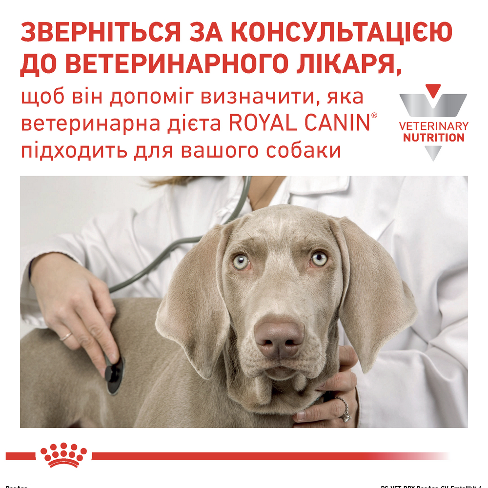 Royal Canin Anallergenic дієта для собак при харчовій алергії і непереносимості - 3 кг
