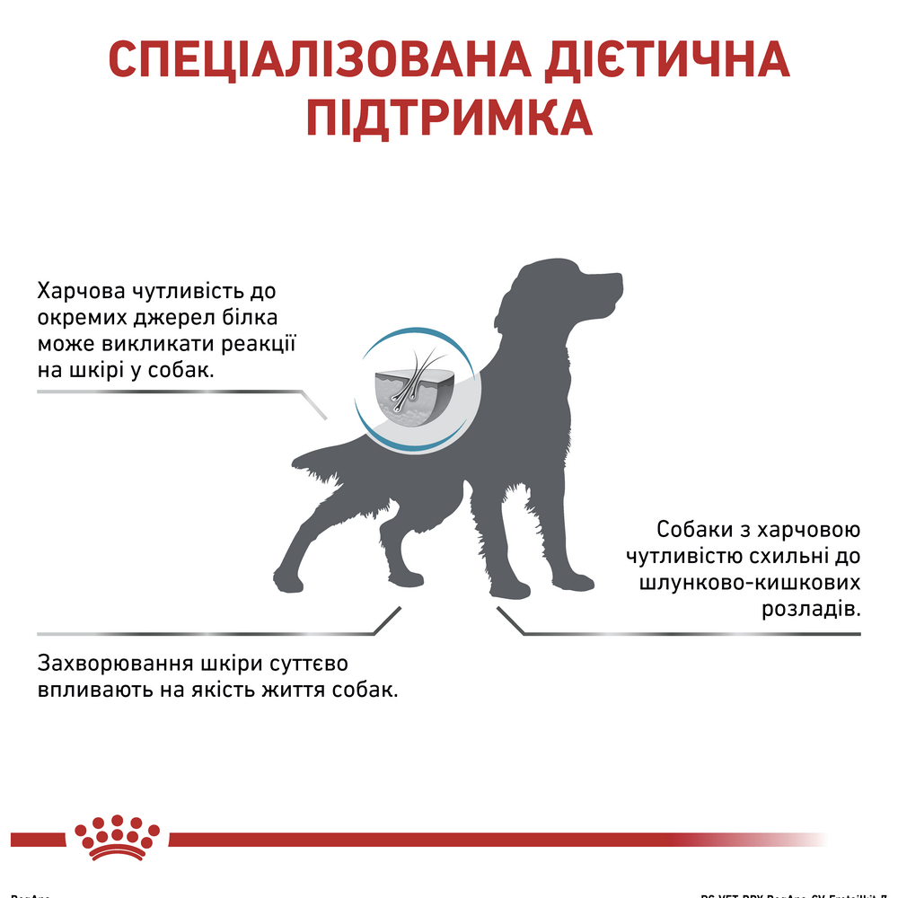 Royal Canin Anallergenic дієта для собак при харчовій алергії і непереносимості - 8 кг
