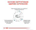 Royal Canin Anallergenic дієта для собак при харчовій алергії і непереносимості - 8 кг