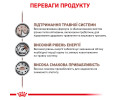 Royal Canin Gastrointestinal дієта для собак при порушеннях травлення - 400 г