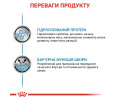 Royal Canin Hypoallergenic дієта для собакпри при харчовій алергії і непереносимост - 400 г