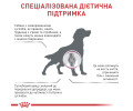 Royal Canin Mobility Support дієта для собак при захворюваннях суглобів - 2 кг