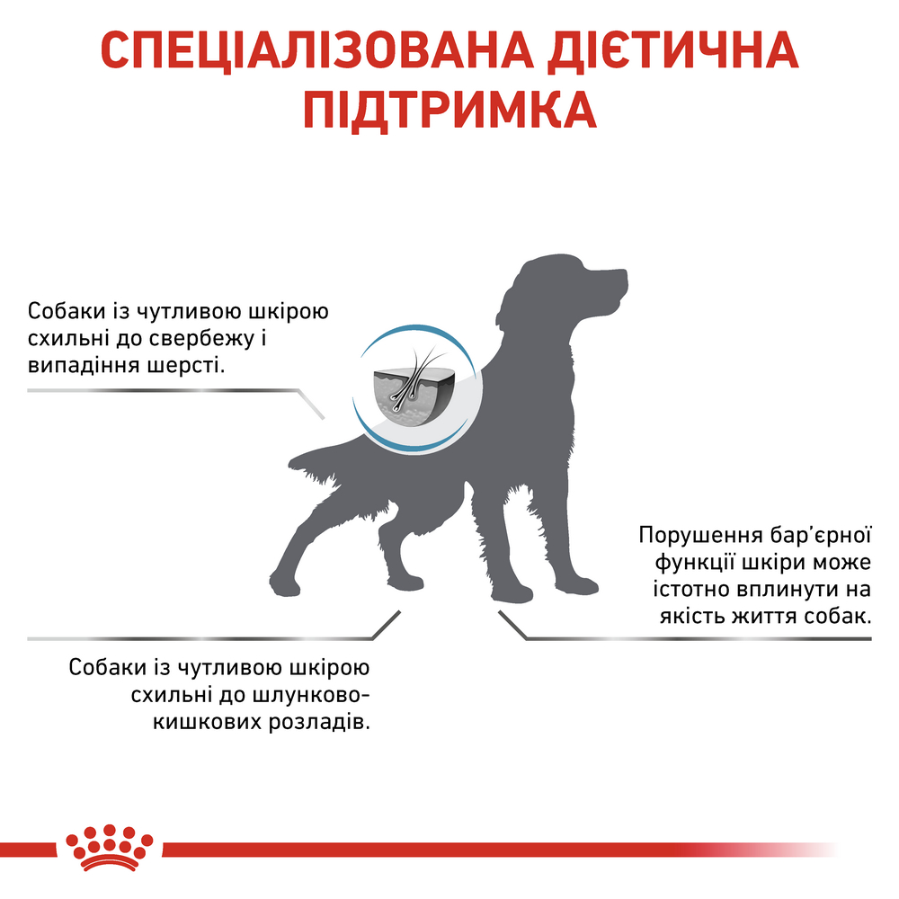 Royal Canin Skin Care дієта для дорослих собак малих порід при атопії і дерматозах - 2 кг