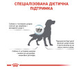 Royal Canin Skin Care дієта для дорослих собак малих порід при атопії і дерматозах - 2 кг