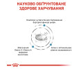 Royal Canin Skin Care дієта для дорослих собак малих порід при атопії і дерматозах - 11 кг