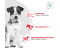 Royal Canin Glycobalance Small Dog дієта для собак малих порід при цукровому діабеті - 1.5 кг