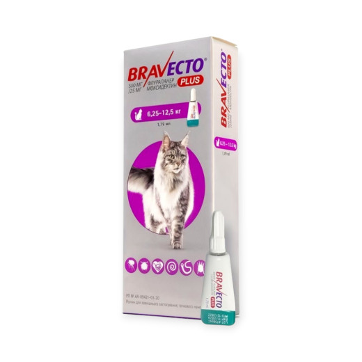 Bravecto Plus Cat краплі від бліх та кліщів для котів вагою 6.25-12.5 кг - упаковка