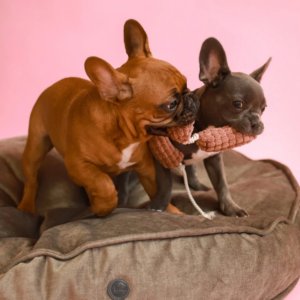 Harley & Cho м'яка іграшка для собак і котів Сосисочки