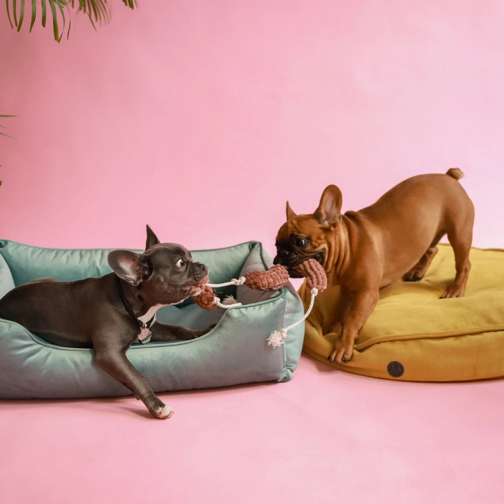 Harley & Cho м'яка іграшка для собак і котів Сосисочки