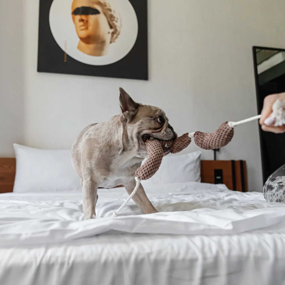 Harley & Cho м'яка іграшка для собак і котів Сосисочки