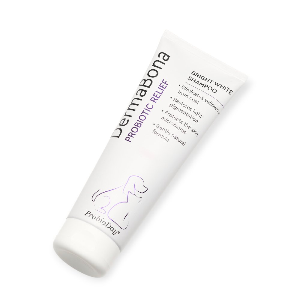 ProbioDay DermaBona Bright White шампунь з пробіотиками для білої шерсті тварин - 200 мл
