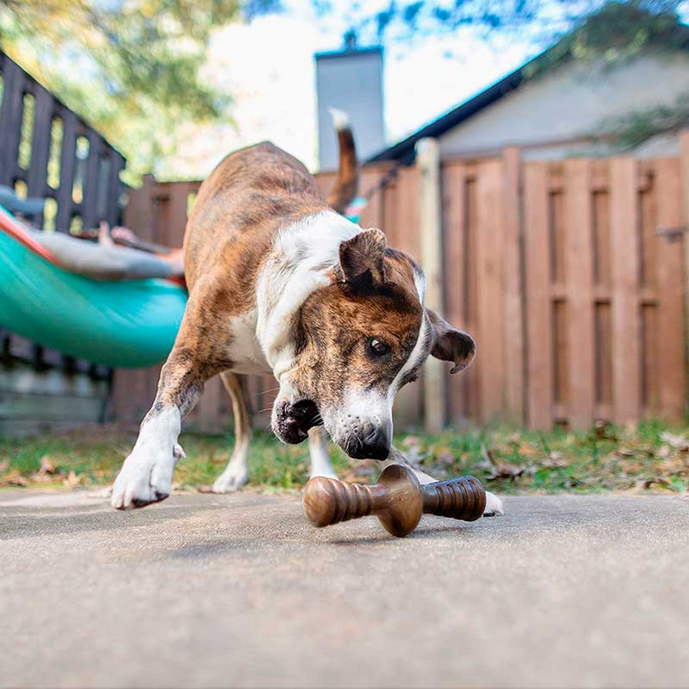 Benebone Zaggler Bacon жувальна іграшка для собак, зі смаком бекону - М