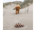 Benebone Fishbone Salmon жувальна іграшка  для собак, зі смаком лосося - M